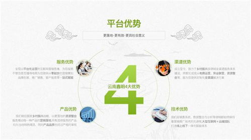 鄉村振興戰略下的農特產品與科技融合之路